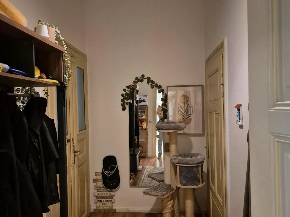 3-Zimmer-Wohnung nähe Dresden - Pirna - Elbparadies