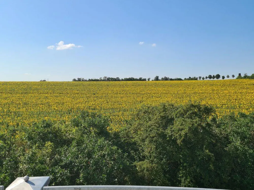 99098 Erfurt Töttleben, in the middle of greenery, 3 rooms kitchen bathroom parking space