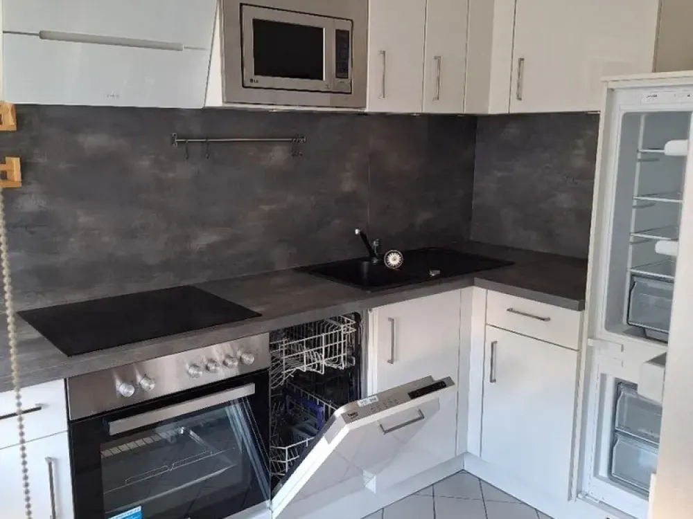 Fully Furnished Apartment on Leineinsel - 2 Rooms, 55 m² with Terrace and Underground Parking Space