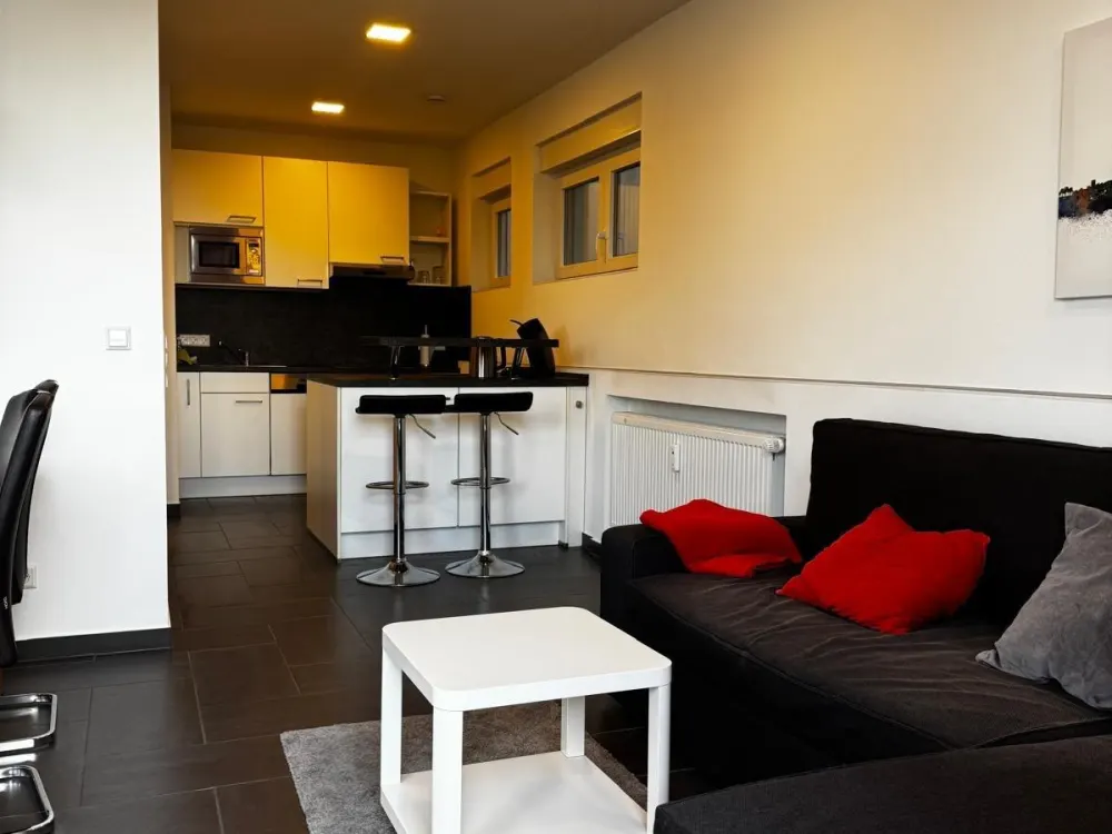 Möblierte Wohnung