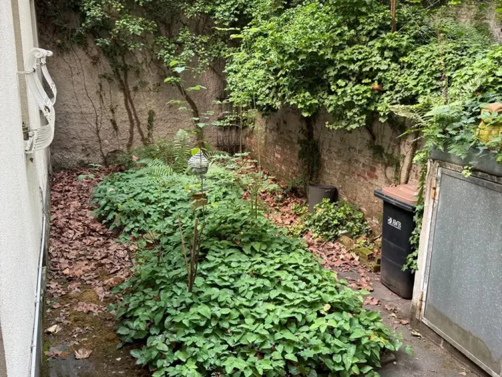 Charmante, möblierte 2-Raumwohnung im beliebten Agnesviertel, mit Zugang zum Gemeinschaftsgarten