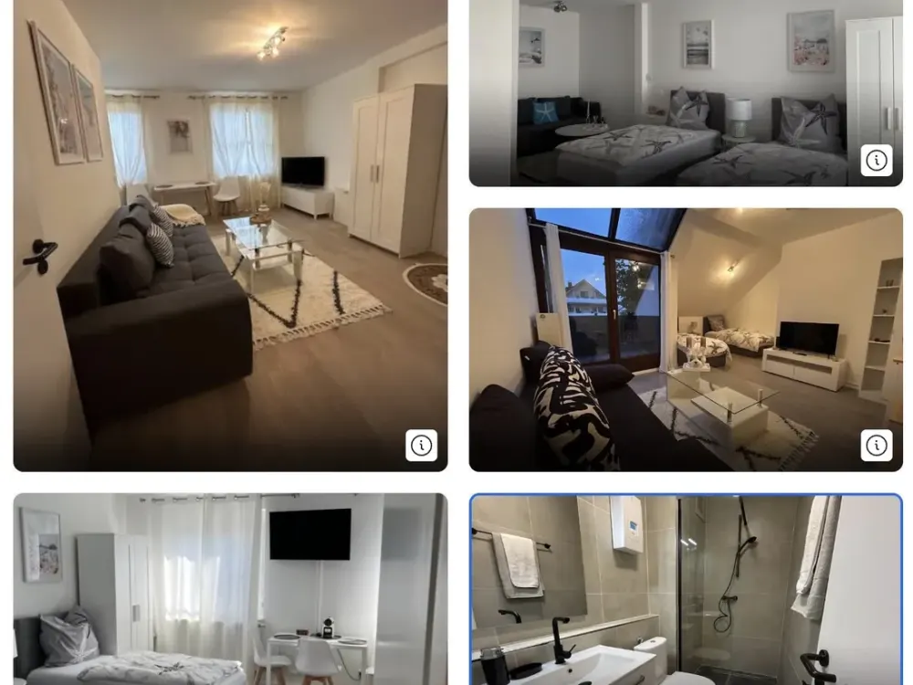 Voll möblierte und renovierte 1-Zimmer-Wohnung in Paderborn Schloss Neuhaus