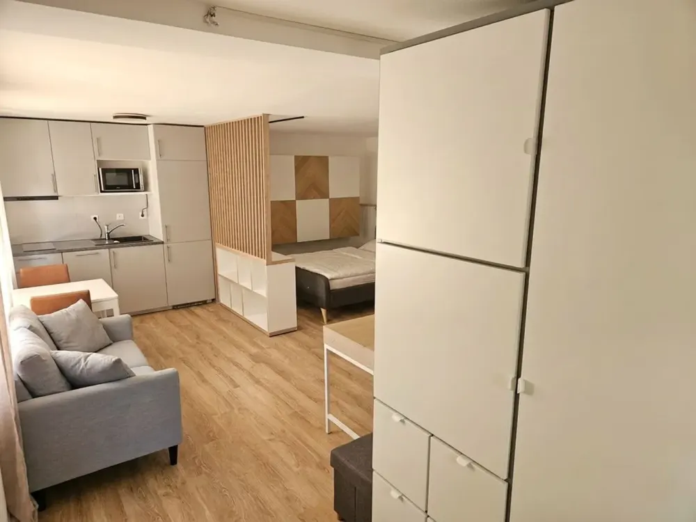 Charming Studio Apartment with High-Quality Interior and Fitted Kitchen in Ravensburg