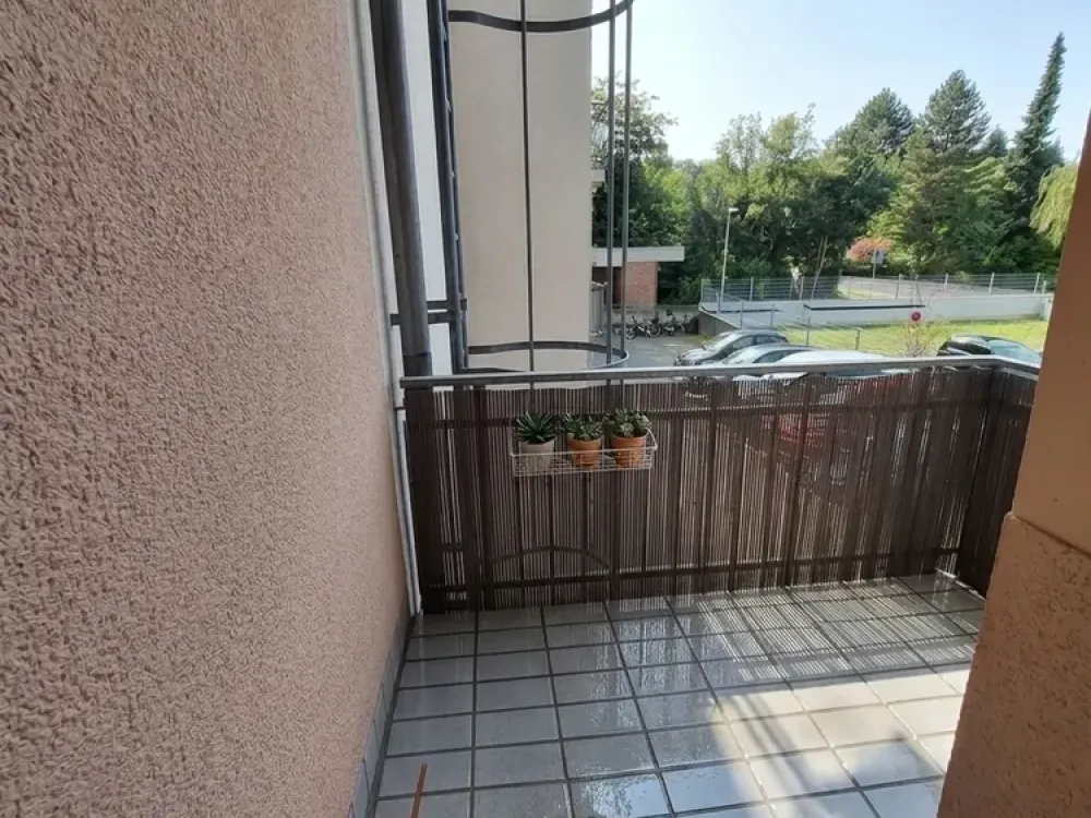 Frisch renoviertes 1-Zimmer-Apartment mit Balkon, neuer EBK & TG-Stellplatz (krzfr. Bezug mögl.)