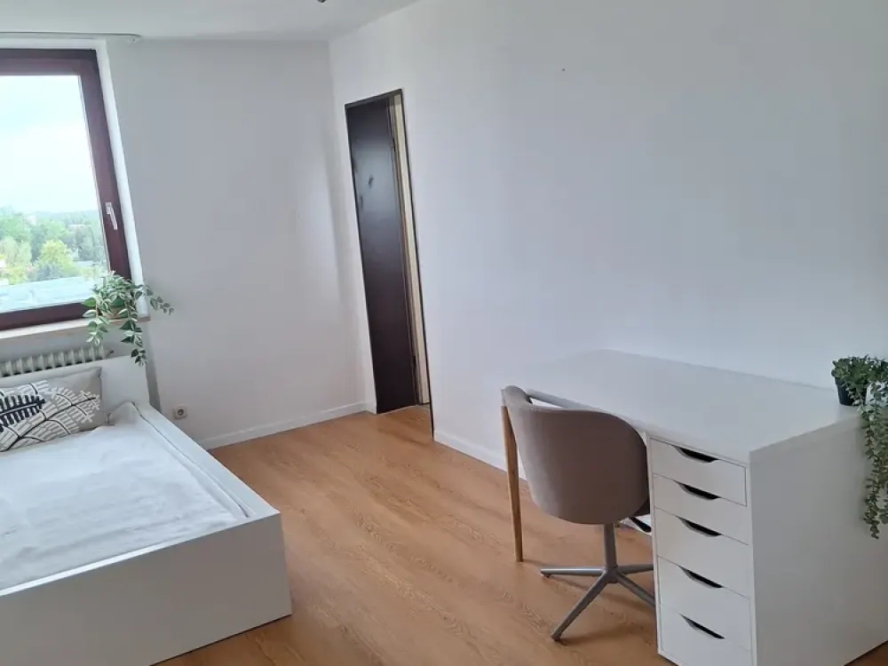 Bright, renovated, newly furnished 1-room apartment, compact, car parking space optional