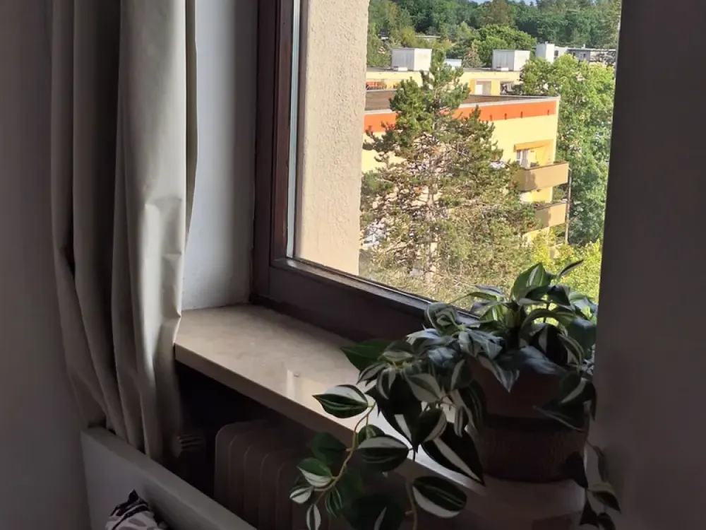 Bright, renovated, newly furnished 1-room apartment, compact, car parking space optional