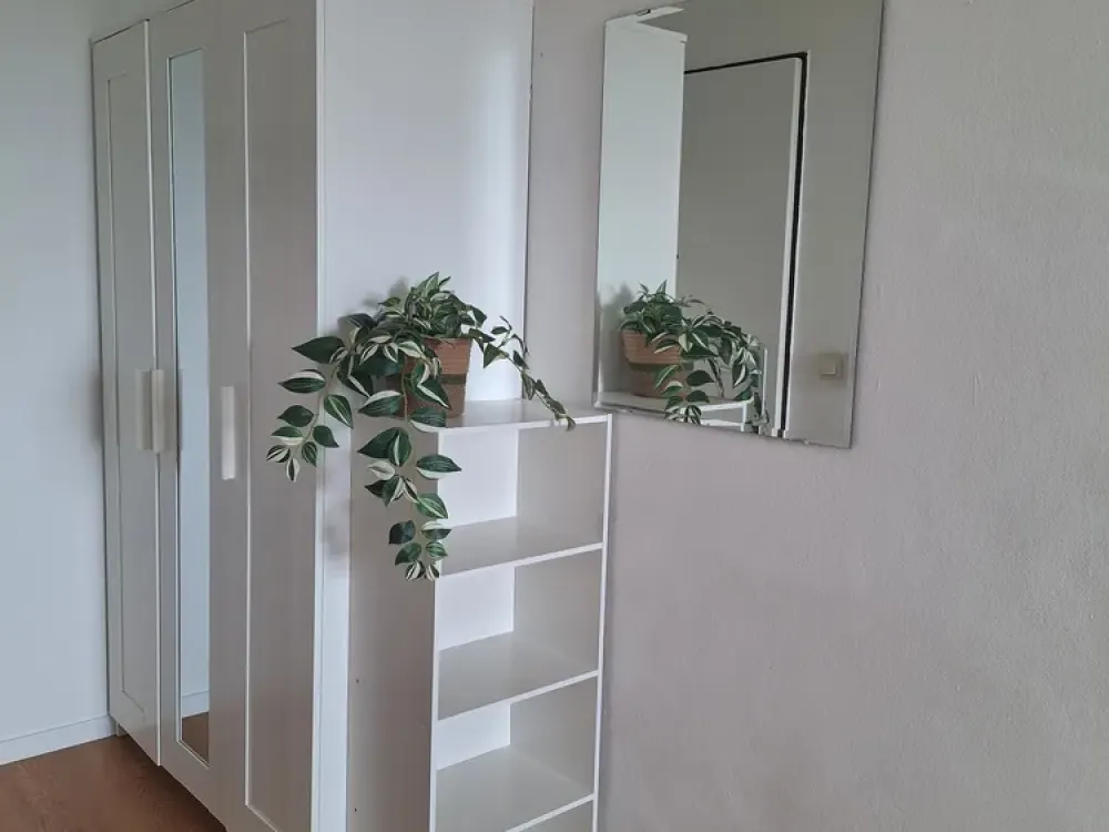 Bright, renovated, newly furnished 1-room apartment, compact, car parking space optional