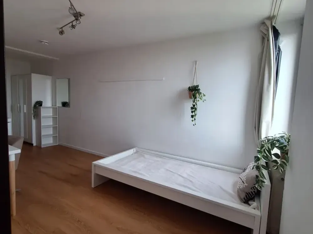 Bright, renovated, newly furnished 1-room apartment, compact, car parking space optional