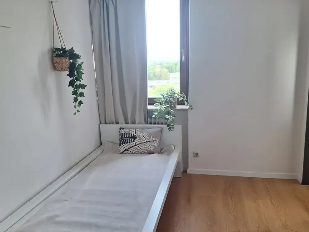 Bright, renovated, newly furnished 1-room apartment, compact, car parking space optional