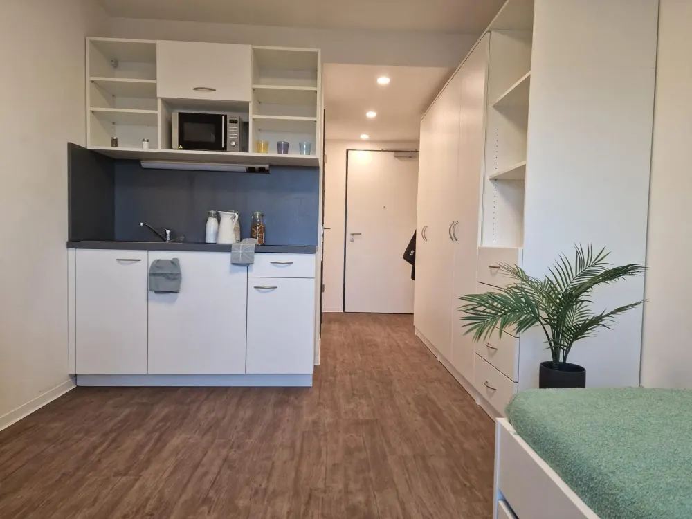 Tolles 1-Raumapartment zur Miete im Leipziger Zentrum - Wentzel Dr. -