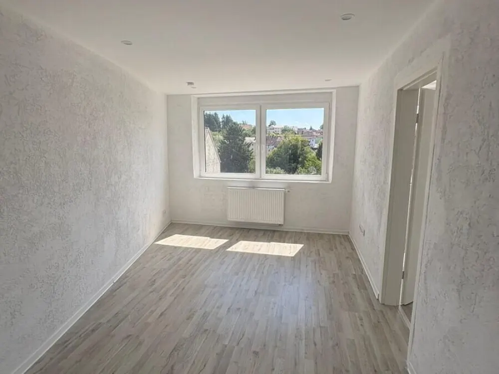 2 Room Kitchen Bath Apartment in Hüttigweiler