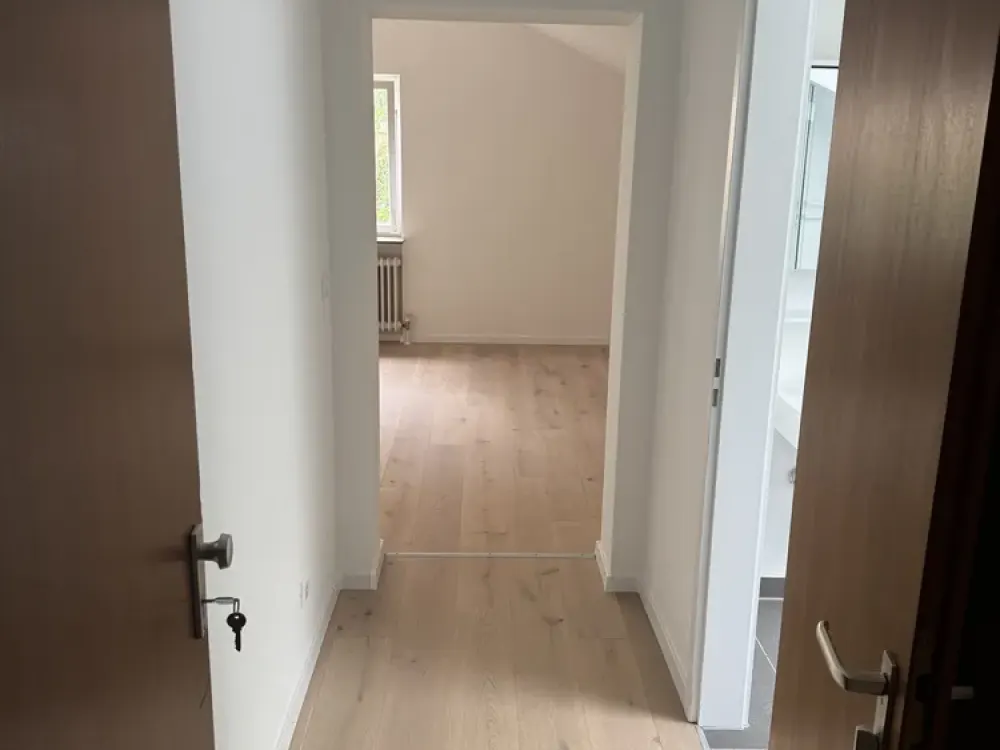 Very nice 1-room attic apartment