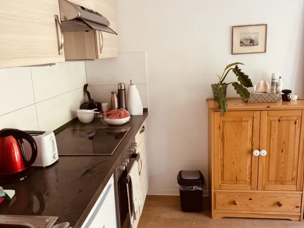 Gemütliche Einzimmerwohnung mit Balkon, Ihr Rückzugsort in der Stadt