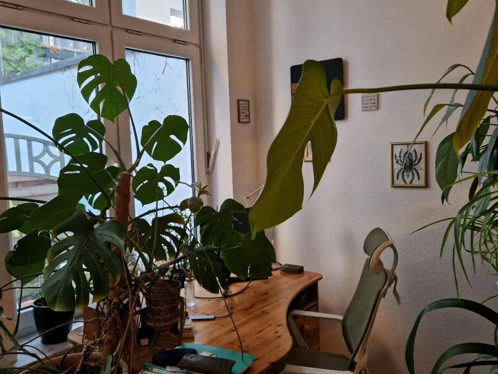 Zentrale, gemütliche und ruhige Zwei Zimmer Wohnung in Ehrenfeld