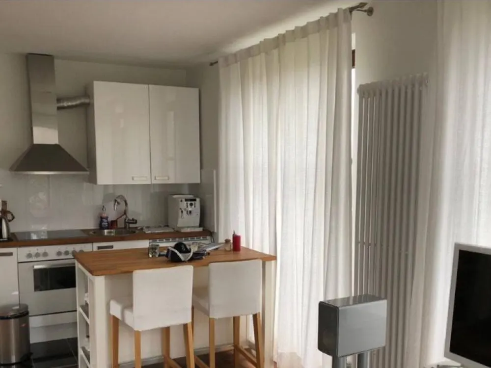 Furnished Apartment for Short-Term or Immediate Rent