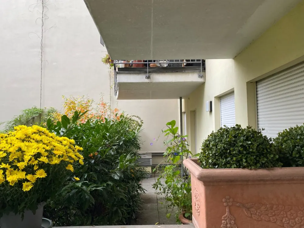 Classy Apartment with Large Terrace, Garden on a Park