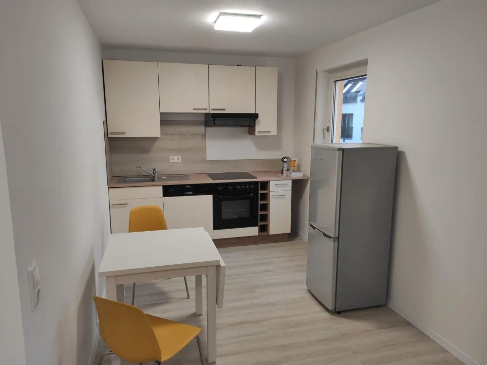 Furnished 1-Room Apartment, Near Wöhrder Wiese/University from 1.10. with Fitted Kitchen