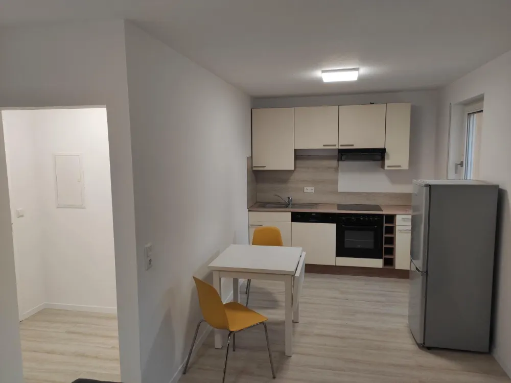 Furnished 1-Room Apartment, Near Wöhrder Wiese/University from 1.10. with Fitted Kitchen