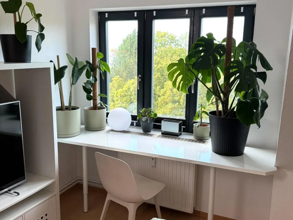 Möbliertes Wohnen im Herzen Rostocks, 30 m² für ein Jahr