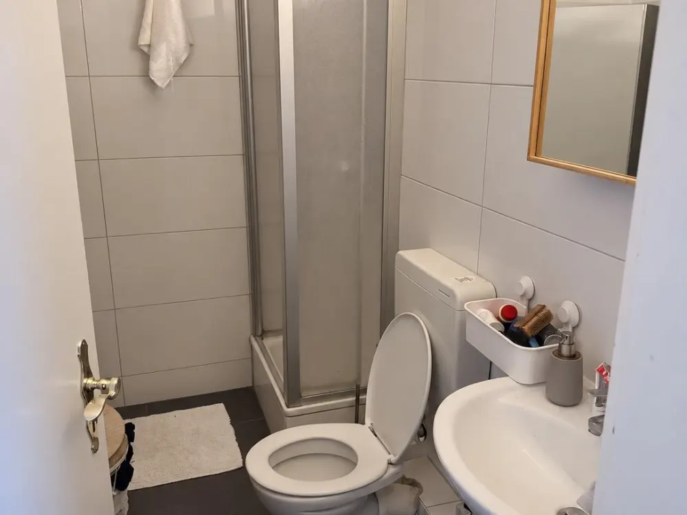 2-Room Apartment with Garden in Eimsbüttel Opposite Apartment in Altona