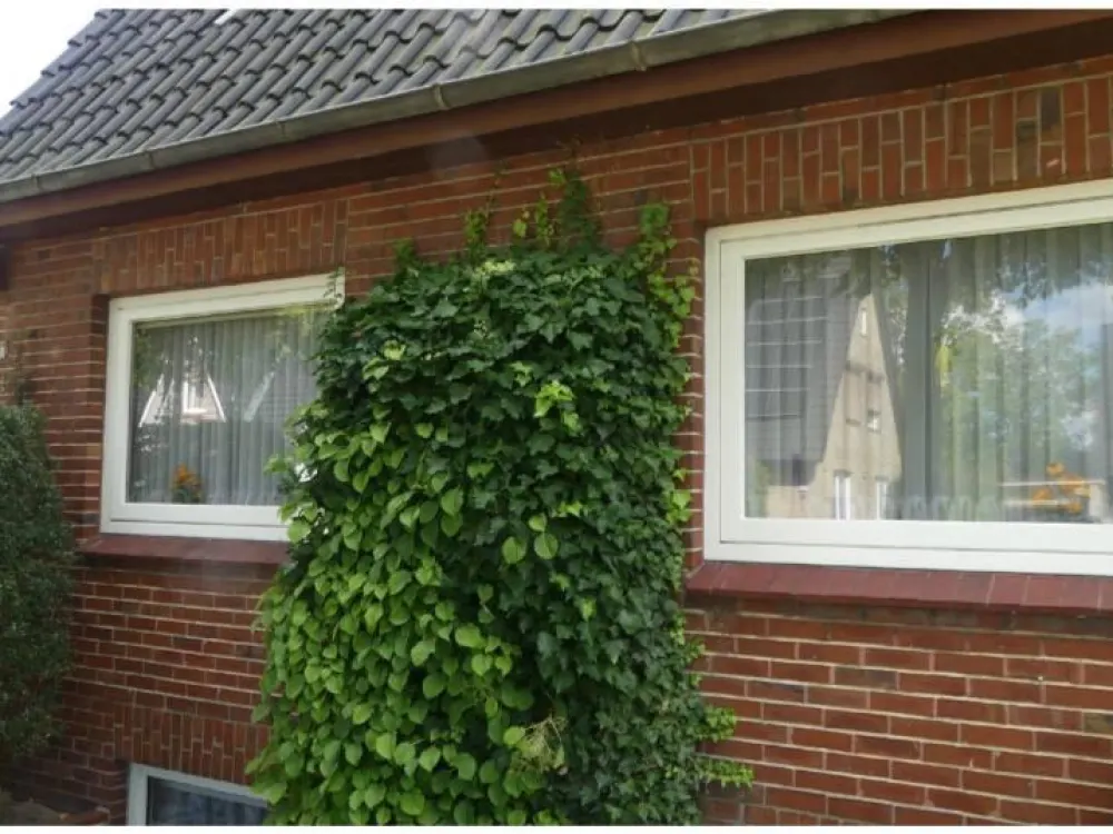 Möblierte WG-Zimmer in Hausgemeinschaft zu vermieten