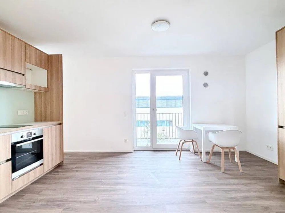 Großzügiges möbliertes 1,5-Zimmer-Appartment mit Dachterasse