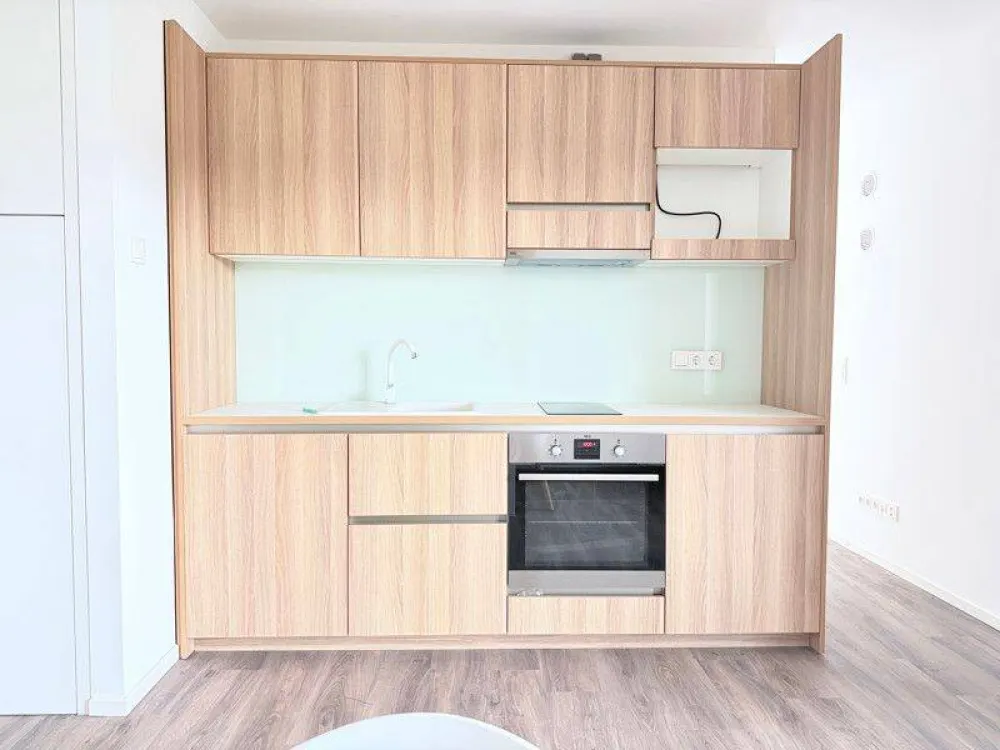 Großzügiges möbliertes 1,5-Zimmer-Appartment mit Dachterasse