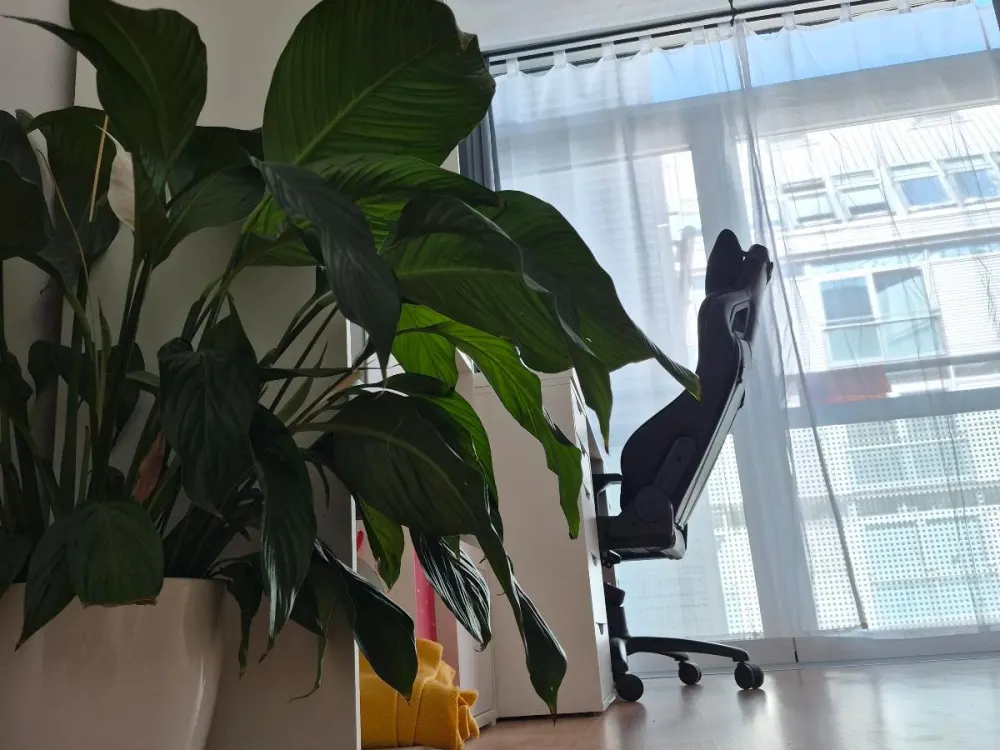 Möblierte 1-Zimmer-Wohnung zur Zwischenmiete