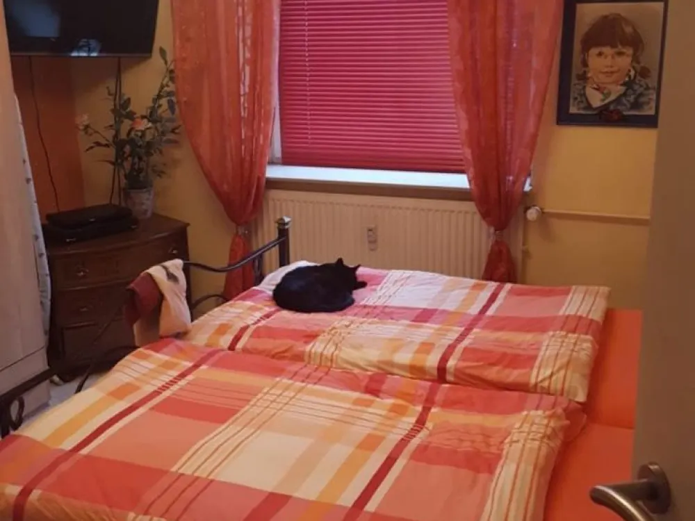3 Zimmer Wohnung 80m2