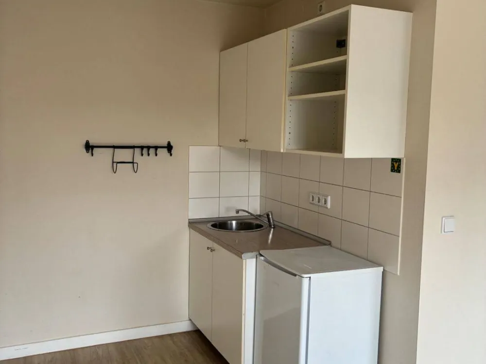 Hoch oben wohnen: 1-Zimmer-Wohnung mit Balkon in Dresden - Hechtstraße (01097)