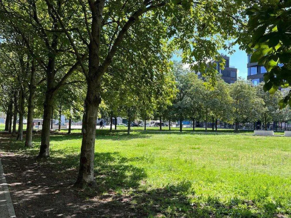 Mitte/Kreuzberg مبنى جديد بشرفتين