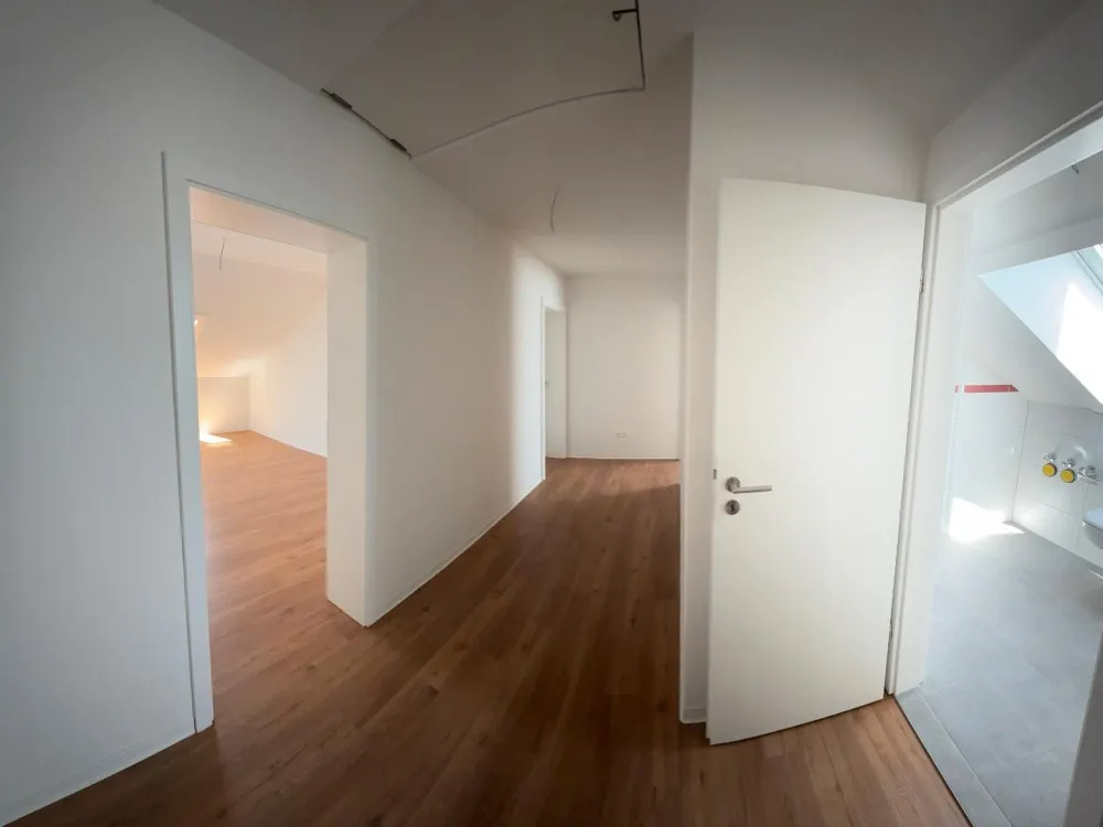 Freshly Renovated 2-Room Attic Apartment with Elevator