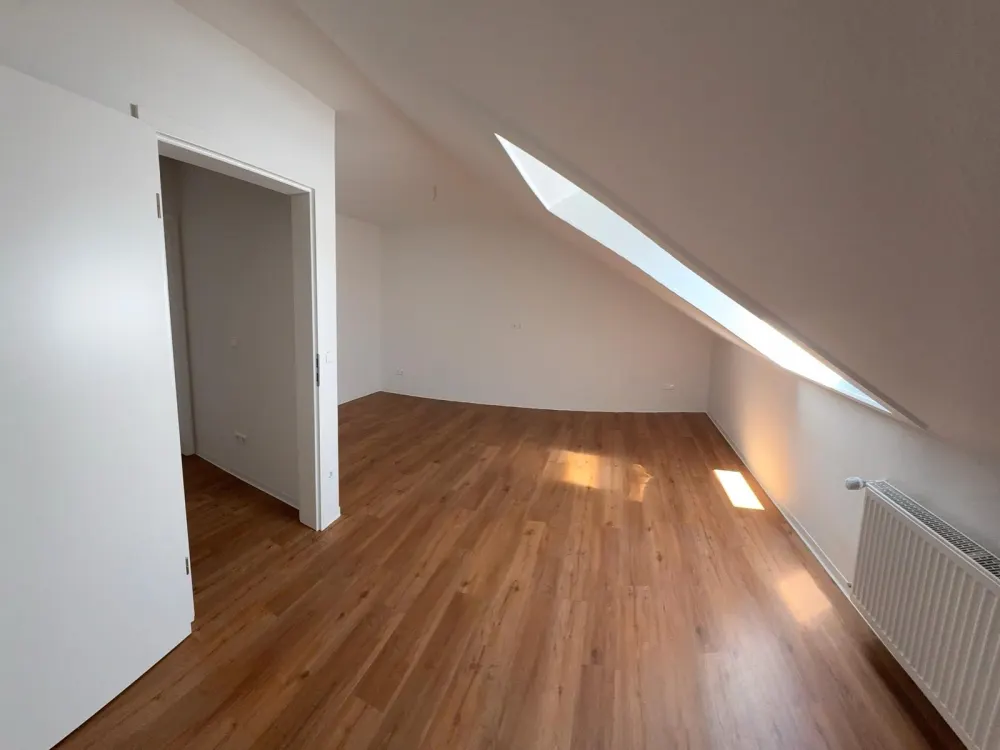 Freshly Renovated 2-Room Attic Apartment with Elevator