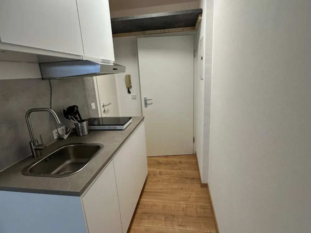 Schönes hochwertig renoviertes 1-Zimmerapartment in Erlangen