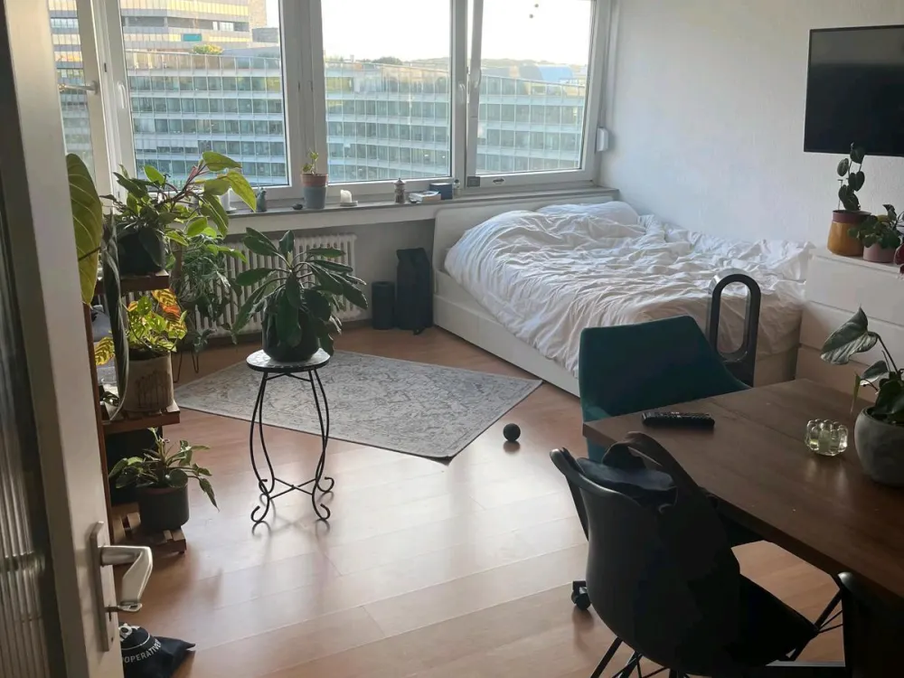 1-Zimmerwohnung im Zentrum Kölns