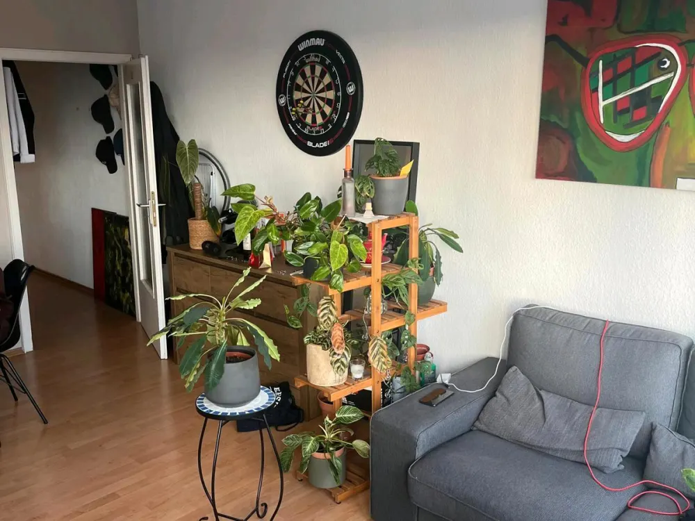 1-Zimmerwohnung im Zentrum Kölns