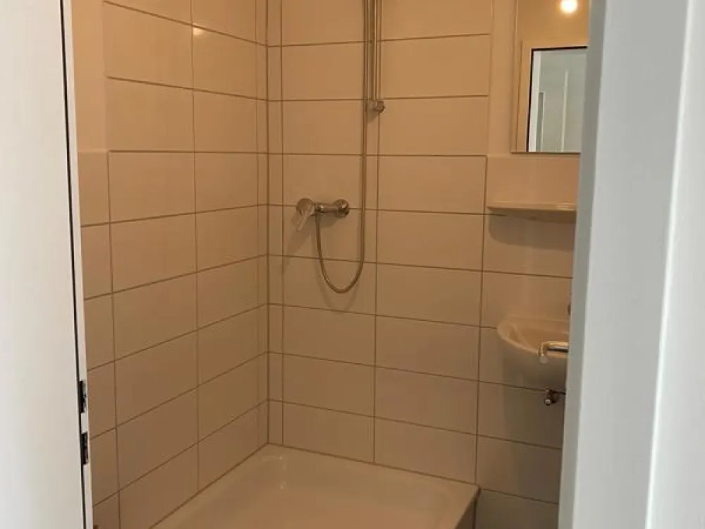 Renovierte 3-Zimmer-Wohnung mit Balkon