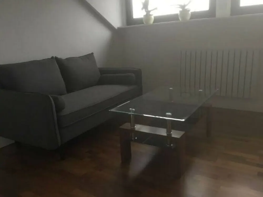 Exklusive möblierte 3 Zimmer Wohnung zu vermieten