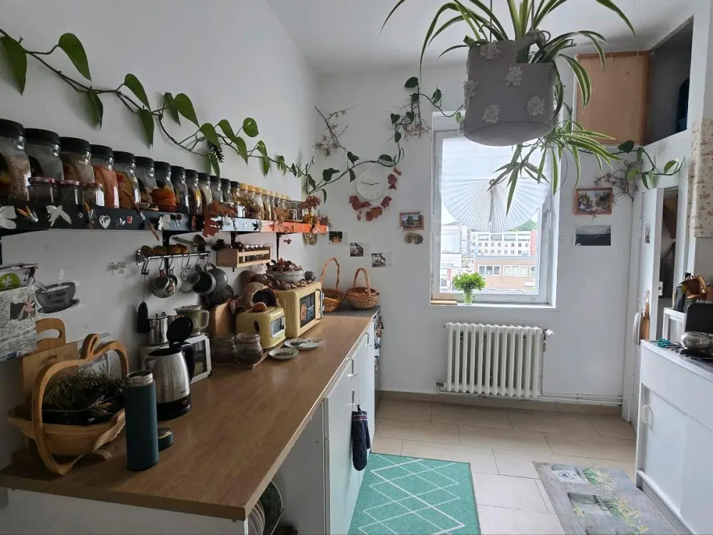 halbzimmer