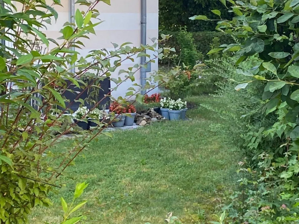 Möblierte 3-Zi-Gartenwohnung in Striesen für Firmenmitarbeiter