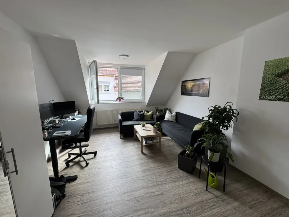 2020 ausgebaute Wohnung - Charmanter Altbau in Paderborn, Dahl