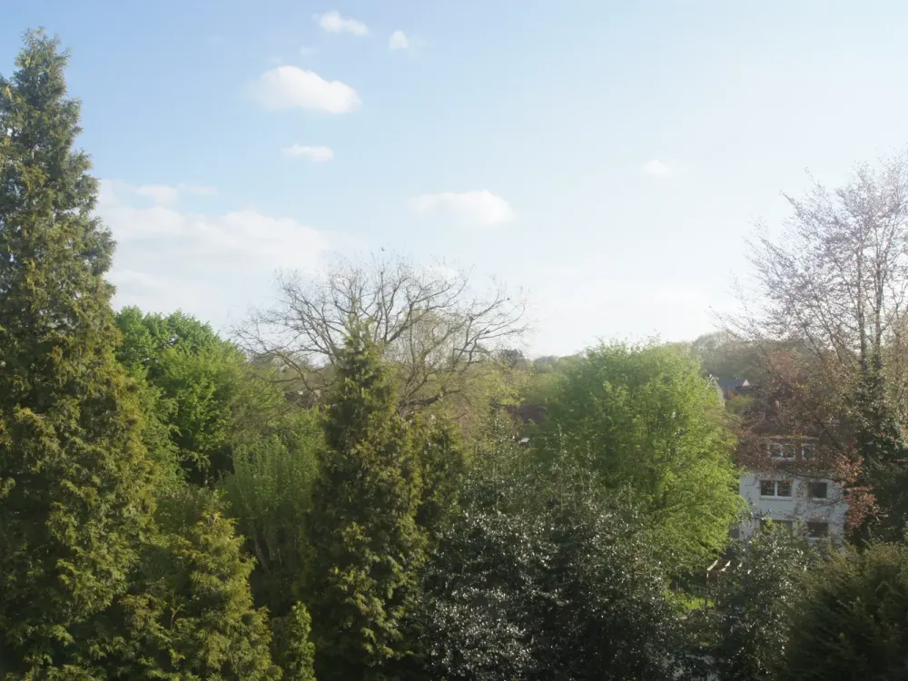 Lebendig wohnen in Bochum-Ehrenfeld: 3-Zimmer-Dachgeschosswohnung mit Balkon