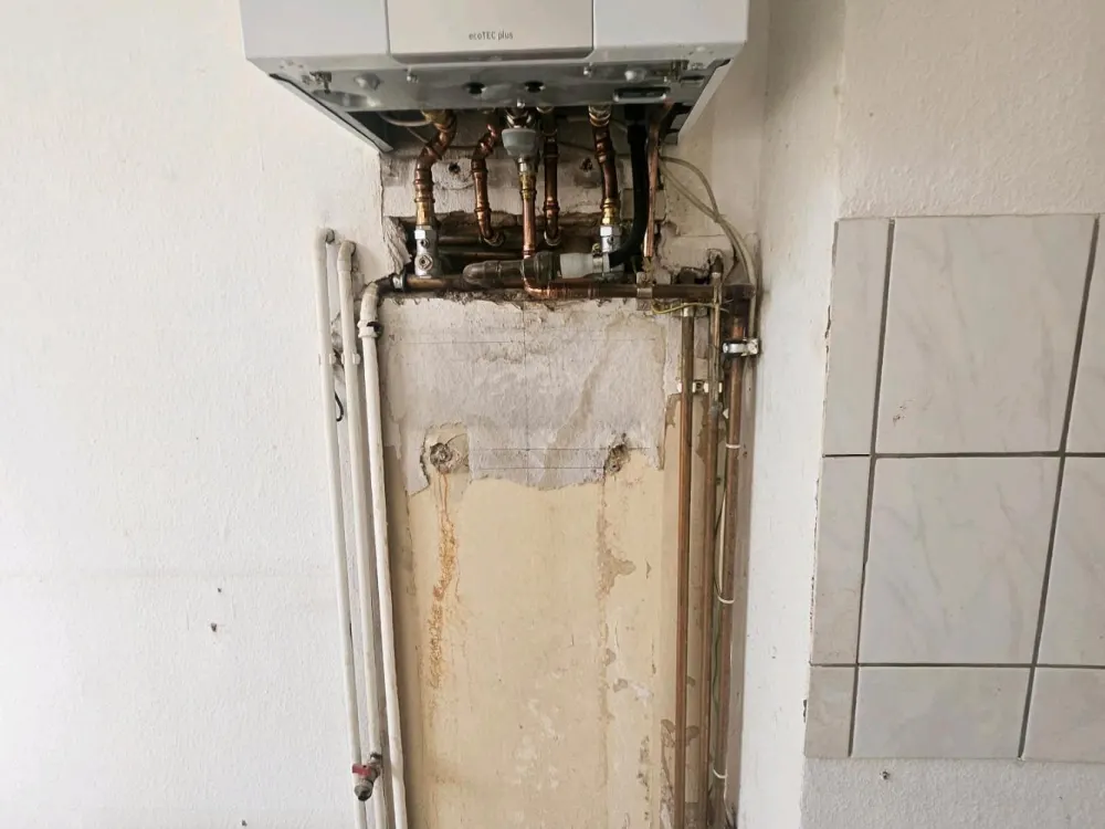 2 zimmer wohnung in Adlershof