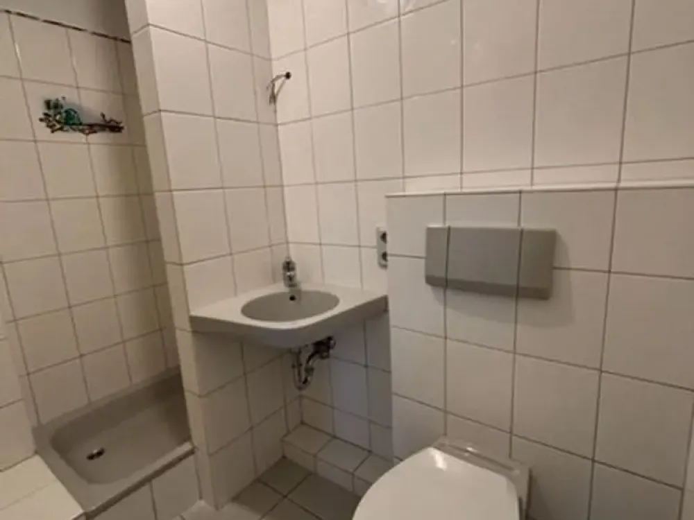 Renovierte 3-Zimmer Wohnung mit Süd-West-Balkon in ruhiger Lage