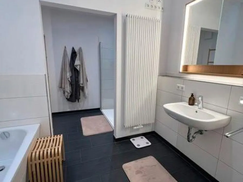 Luxuriöse Loftwohnung mit zwei Bädern und Balkon in Dresden-Friedrichstadt!