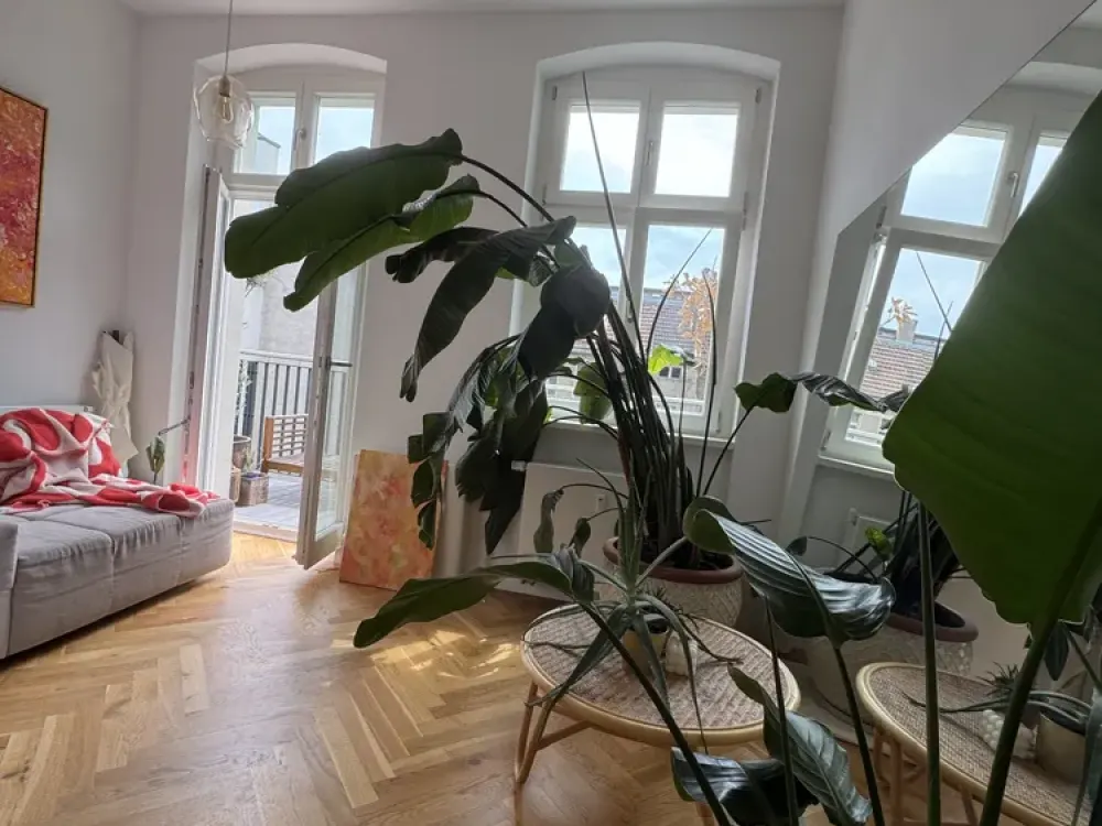 Charmante, helle Altbauwohnung in Prenzlauer Berg, Untermieter/in gesucht