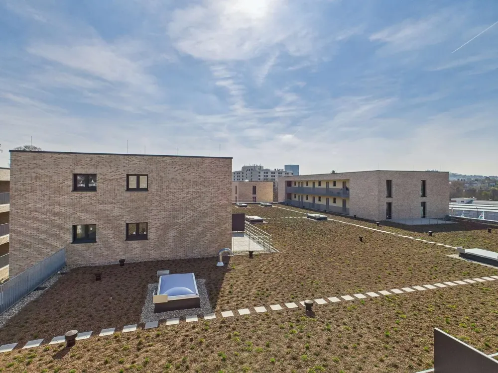 Sonnenbergareal - Urbane Wohnqualität mit Nahversorgung, Lebensqualität auf den Punkt gebracht