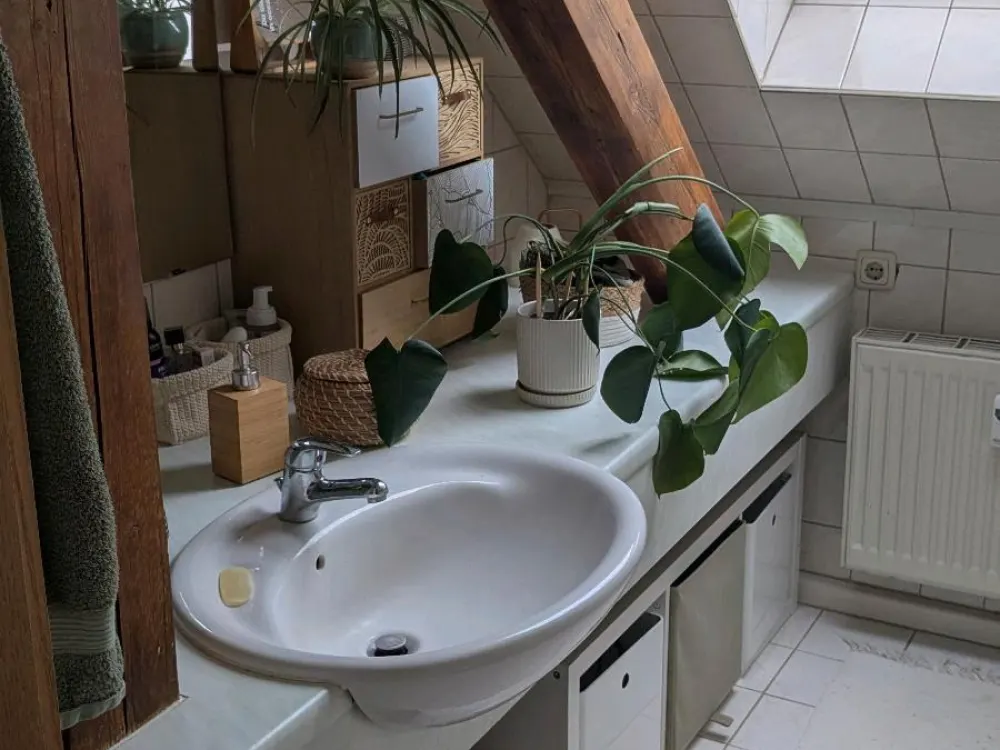 1 ZKB Wohnung