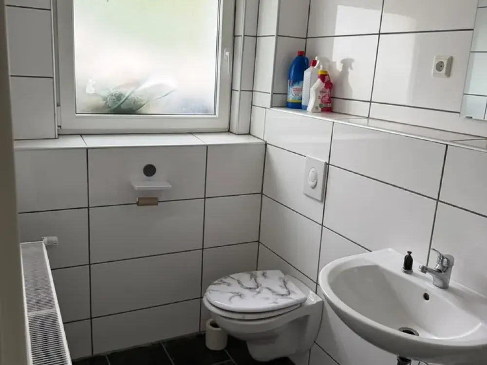 Renovated 2-room apartment with kitchen and bathroom