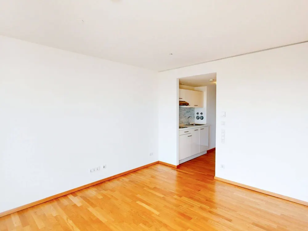 Exklusives 1-Zimmer-Apartment mit Loggia
